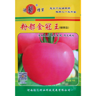 �۶���������ѷN�� �r��ˈ@�߲˼tƤ����ۼtȿ���t�����׷N