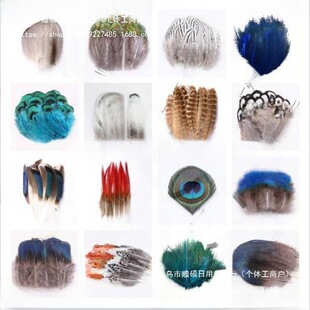 С��ë֧�ֹ��Ʒ���Ұ�uë��ë��؈����䁉��W��ȸ�{Ƭ����