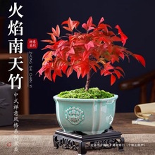 �������������Կ͏d�ͺ��Ϙ��t�~�����k���҃��ļ����Bˮ��С�辰