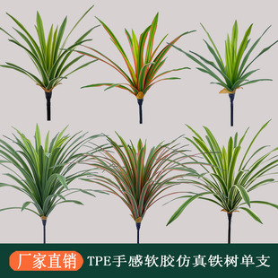 �羳���N��֧ޥ�m������ָ�ܛ�z�ٲݷ������ф��m�~��ˇ�b��m��
