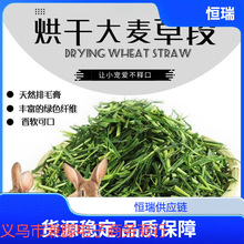 ��ɴ����ݶ����r������؈���m�i����������}��ʳ�݌������Ӳ�