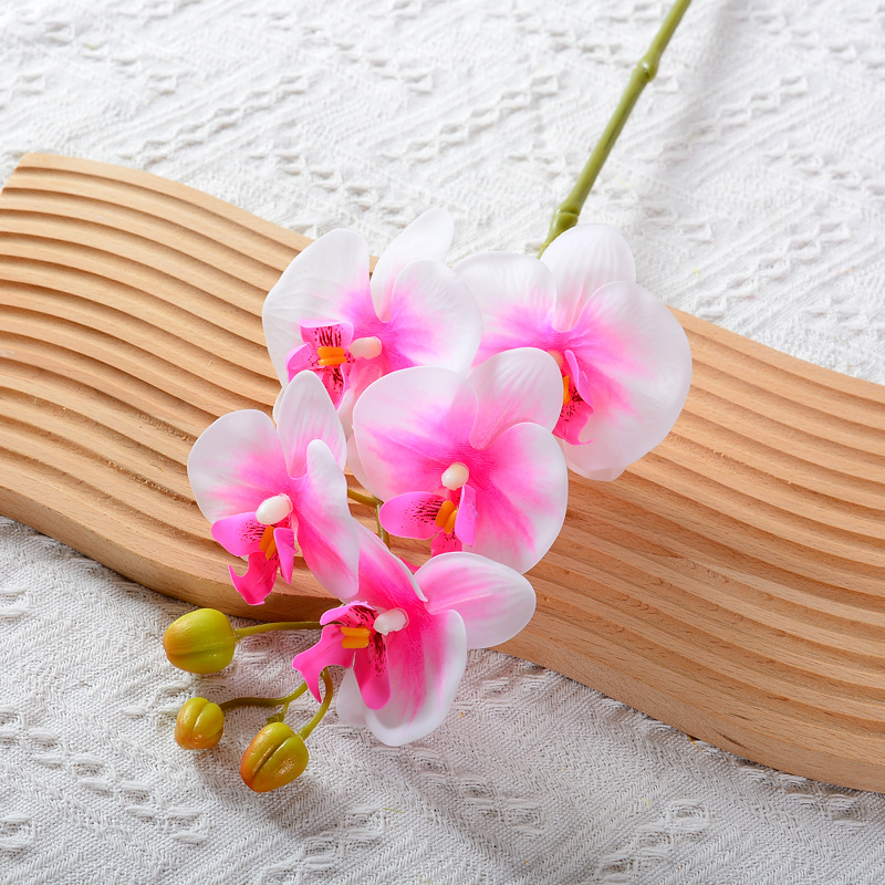 5 퍼플 하트 화이트