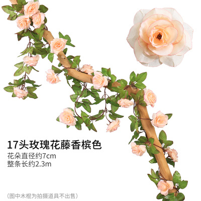17 로즈 샴페인 컬러