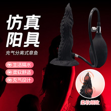 �����xʽ���~���z������o������������������ꖾ��׳������