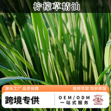 ���R�d���ʲݾ���ƽ����֬����Ժ������Ħ�ͱ����ޏ��o�w��޹����