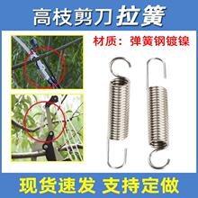 ��֦�􏗻���֦������������h����@�ָ߿��F�^֦���S����