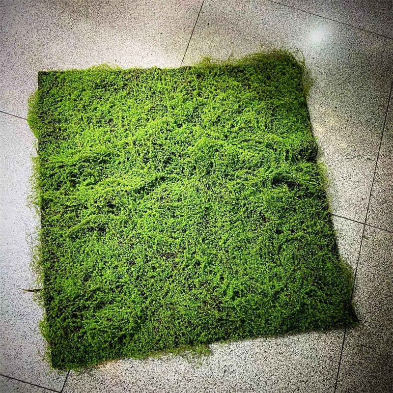 233050-3看图王800