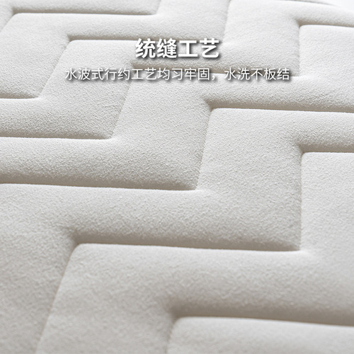Latex mattress rental soft pad home use double-layered tatami sleeping mat bedding for student dormitory single pad quilt