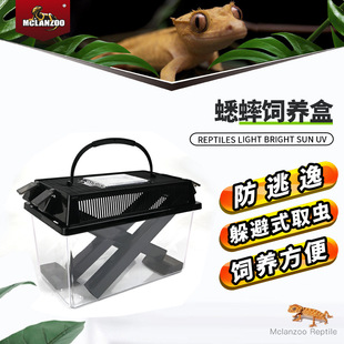 Meizu Plastic Household Turtle Insect Cricket Dubia Reptile Special Breeding Box Cricket Box Scum Box Cross-Border