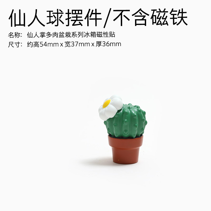 仙人掌盆栽屬性-10