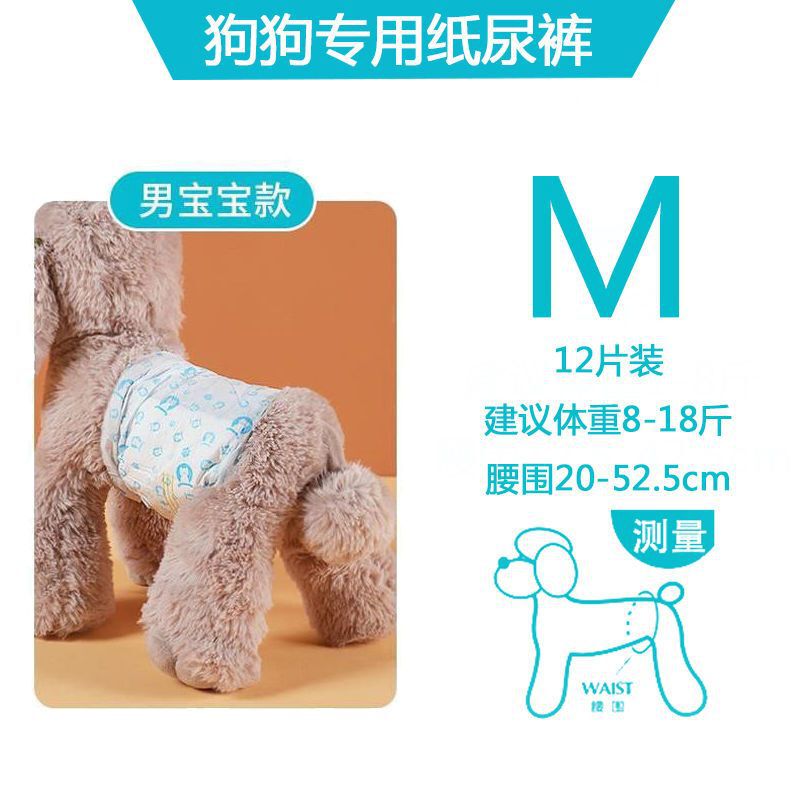犬用おむつ、ペット用おむつ、雄犬専用、雌犬用、テディビション、プードル|undefined