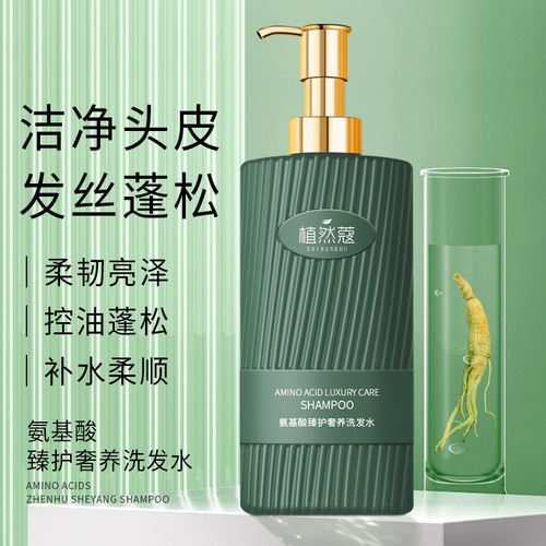 Phytophthora Amino Acid Shampoo Smooth and Fluffy Oil Control Shampoo Large Capacity Family Shampoo Wholesale