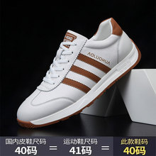 �W��վ2024�^��ţƤ��Ь���e�r�аٴ���\��͸�Ⱒ��Ь͸�����m