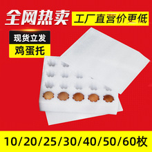 EPE鸡蛋托无纸盒珍珠棉现货 水果网套防护内衬珍珠棉片材厂家