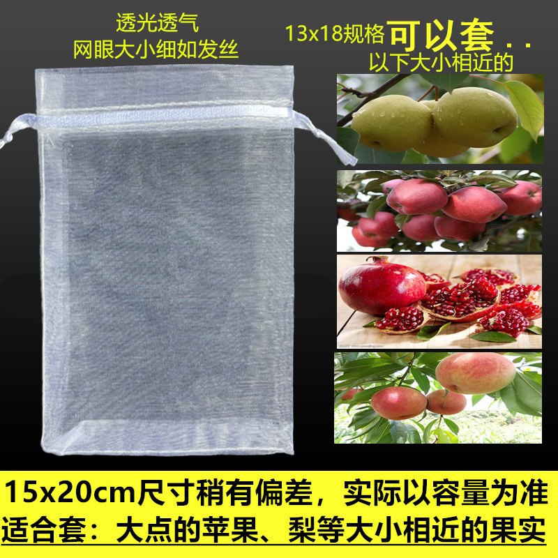 水果防鸟防虫网袋瓜果保护袋子无花果枇杷葡萄网袋桃子草莓保护套|undefined