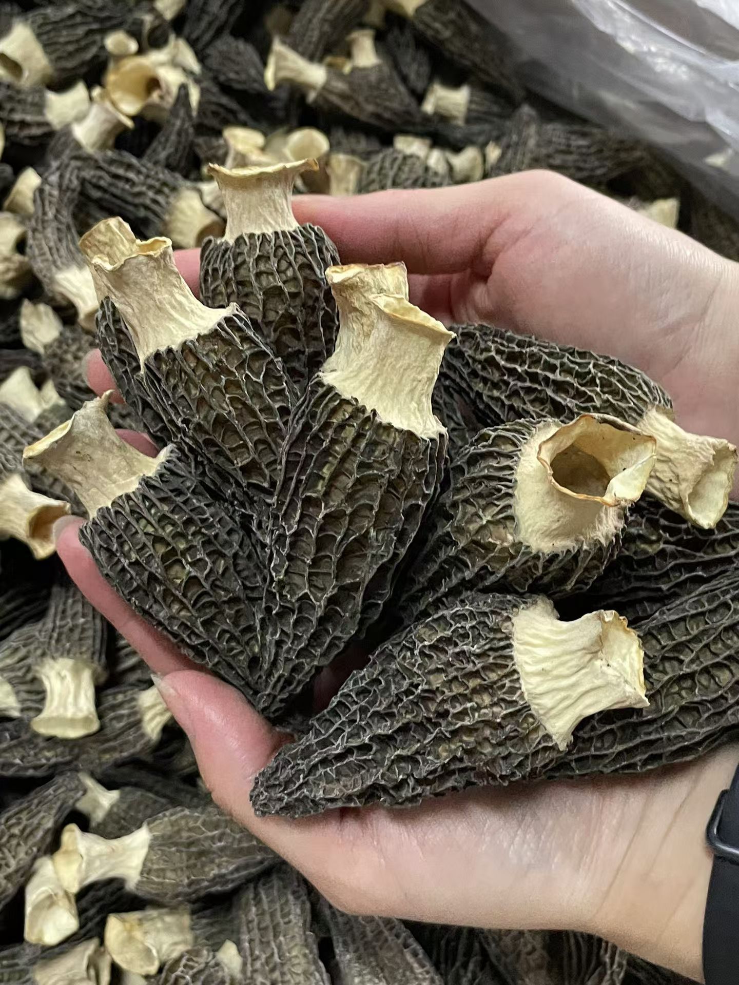 Dried Morel Mushroom 500g Yunnan Premium Grade 7-9cm Soup Ingredient overview