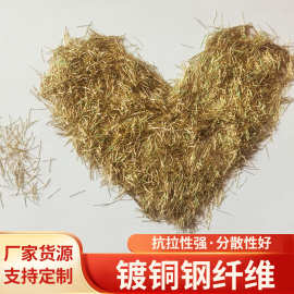 厂家直销镀铜钢纤维 混凝土桥梁钢纤维 剪切型镀铜微丝钢纤维耐腐