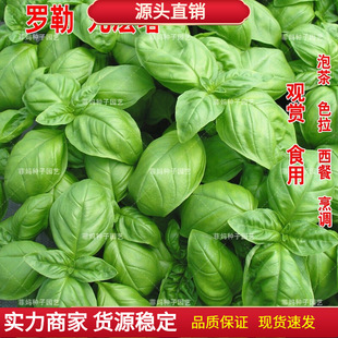 ʳ����G�_�վŌ����N�ӽ𲻓Q�̨�҃���������ļ���ݷN������