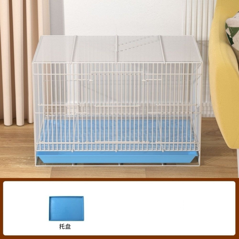 화이트(핫 스타일)