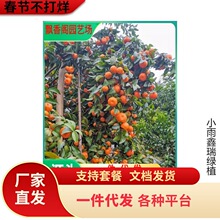 ���S�۽����ϱ���ͥԺ���Ը����玧�����Լ޽ӽ��Ә���箔��Y��