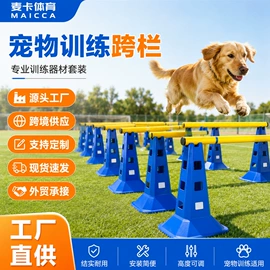 足球训练用具;足球门/网;匹克球拍