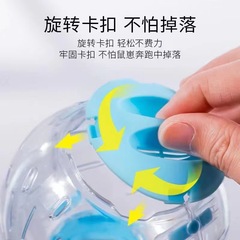 Small Cute Squirrel Ball Running Toy Transparent Rolling Ball Golden Silk Bear Crystal Running Ball Squirrel Supplies Running Ball Manufacturer Model
