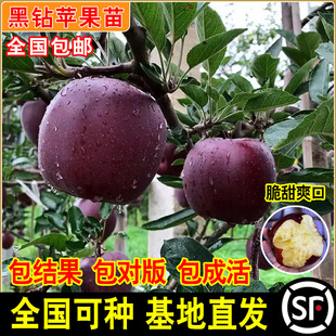 �޽Ӻ���O�������ش���������ͨ�ڿ��O�����ϱ���ͥԺ���Ե���