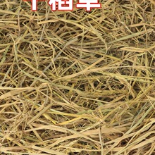 干稻草垫窝狗 猫 鸡 鸭 鹅兔草窝冬季宠物垫窝铺窝取暖防寒软稻草