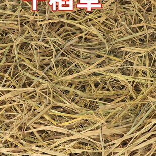 �ɵ��݉|�C�� ؈ �u �� �Z�òݸC��������|�C䁸Cȡů����ܛ����