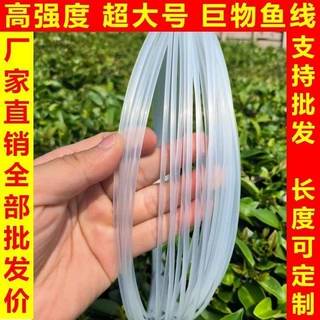大号鱼线主线锚鱼线海钓船钓加粗线尼龙鱼线渔网单丝胶丝线串珠线
