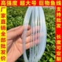 大号尼龙海钓单丝主线
