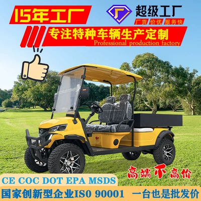 Electric Golf Cart 2 Seats with Cargo Bucket Tourist Attraction Hotel Park Shuttle Off-Road Golf Cart