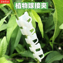 �@ˇ�޽ӊA���t������޽ӊA���Ӽ޽ӊA �̶��� ܛ�|���|������