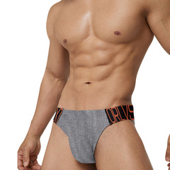 ORLVS men's triangle briefs stylish sexy trendy novelty underwear OR6242