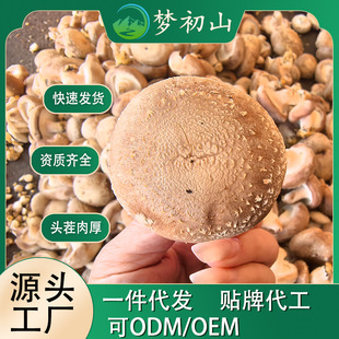 �������x���㹽���Ƶ�a��ֱ�N�ɴ��l������ƷԴ�^�S��