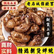 ��ș�ľ��x�����sÓ�s͑���s���s���sƤ�s���x��֪�˚�Ƥ���sɢ�b