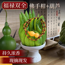 �����J�[�������Ȼ���r���ָ��r��ֲ���^�p���渣���㙴�бP