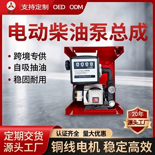 定制220v550w大功率电动柴油抽油泵厂家直销计量加油泵液体加注泵