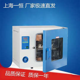 上海一恒DHG-9070鼓风干燥箱9000系列实验室电热恒温烘箱烤箱