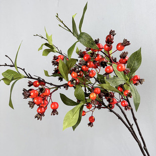 ��������ʯ����}�Q�b�c�Ҿӿ͏d�{���ٻ��[���羳�{��ʯ���