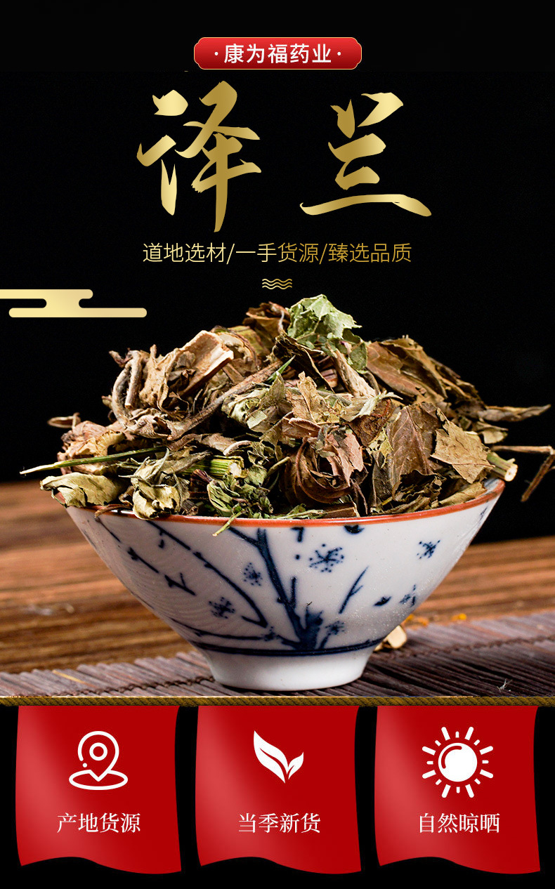 Ze Lan Herb (Lycopus lucidus) — Dried Chinese Herb for Decoction & Tea overview