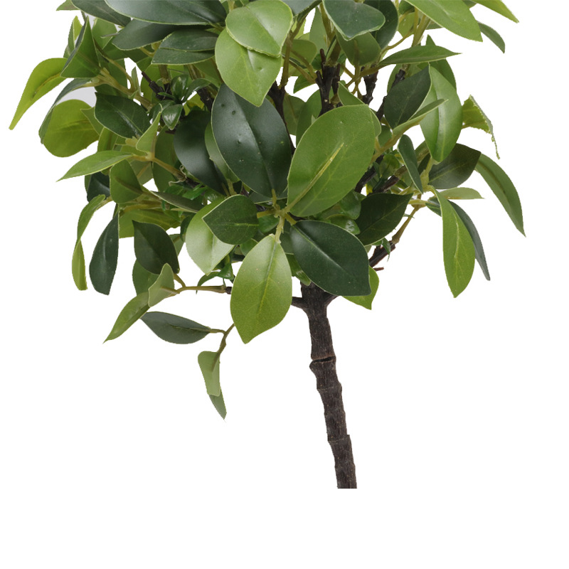 XRS-159 迷你榕叶7号盆栽166叶3.jpg