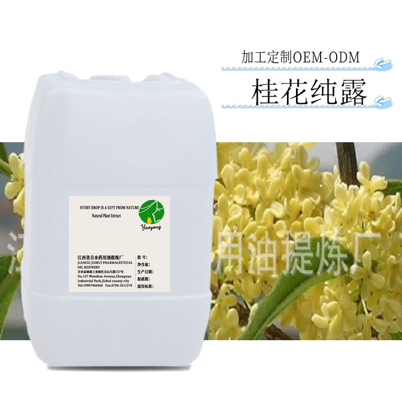 供应 天然植物提取 桂花纯露 提取液 植物原料 5斤装