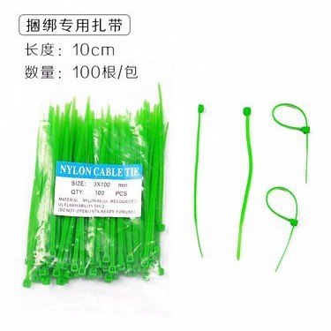 1 Pack de corbatas (100 piezas)