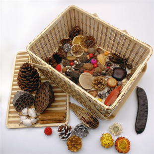 �ɻ��ɹ������׃��@ֲ�����˱��޻��ɹ��ֹ�����diy���ϰ�