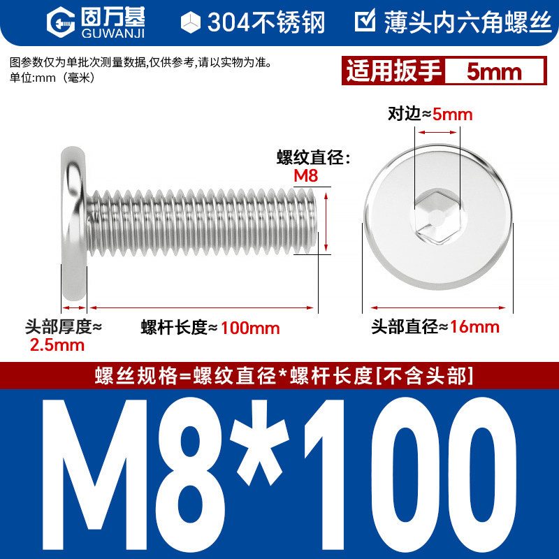 304 M8*100