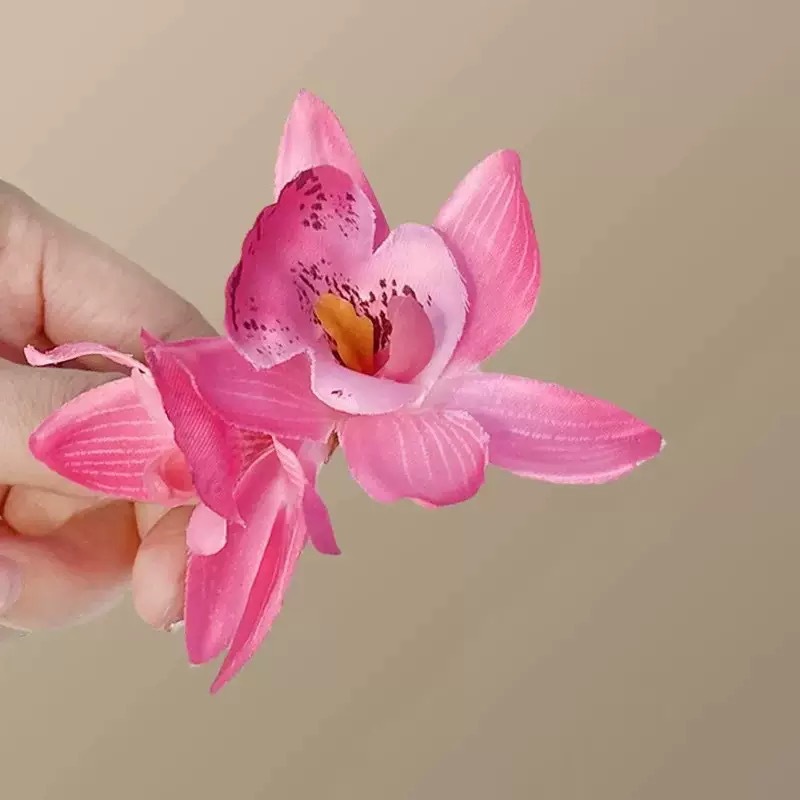 호접란 꽃가루