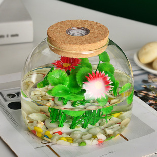 Green Plant Large-Diameter Moss Ecological Bottle High Borosilicate Glass Tank Bonsai Ornaments Landscaping Potted Micro-Landscape Bottle