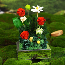 ������õ�廨�������Y��diy�������˹����նY����Ů�ѱ����p����