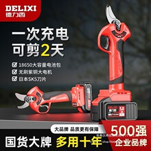 ������늄Ӽ���������֦���늵���֦�޼����ʽ��֦�����֦